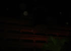 PLP ORBS