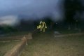 Mysterious Dancing Cemetary Lights