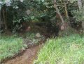 Orbs near Waterfall